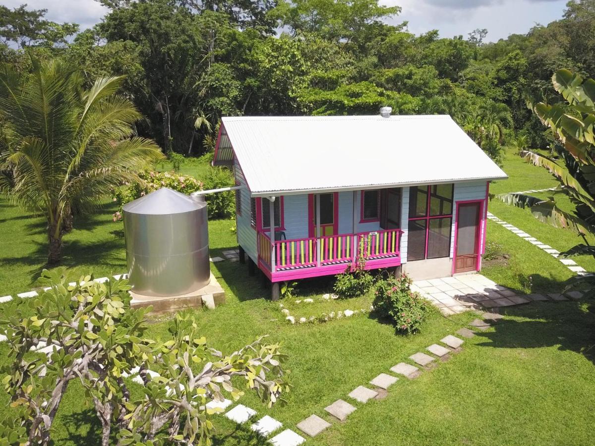 Lower Dover Jungle Lodge & Maya Ruins Unitedville Dış mekan fotoğraf