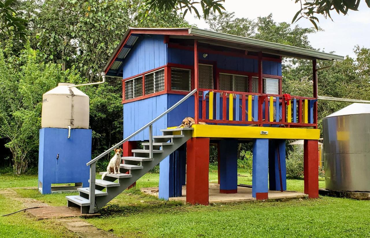 Lower Dover Jungle Lodge & Maya Ruins Unitedville Dış mekan fotoğraf