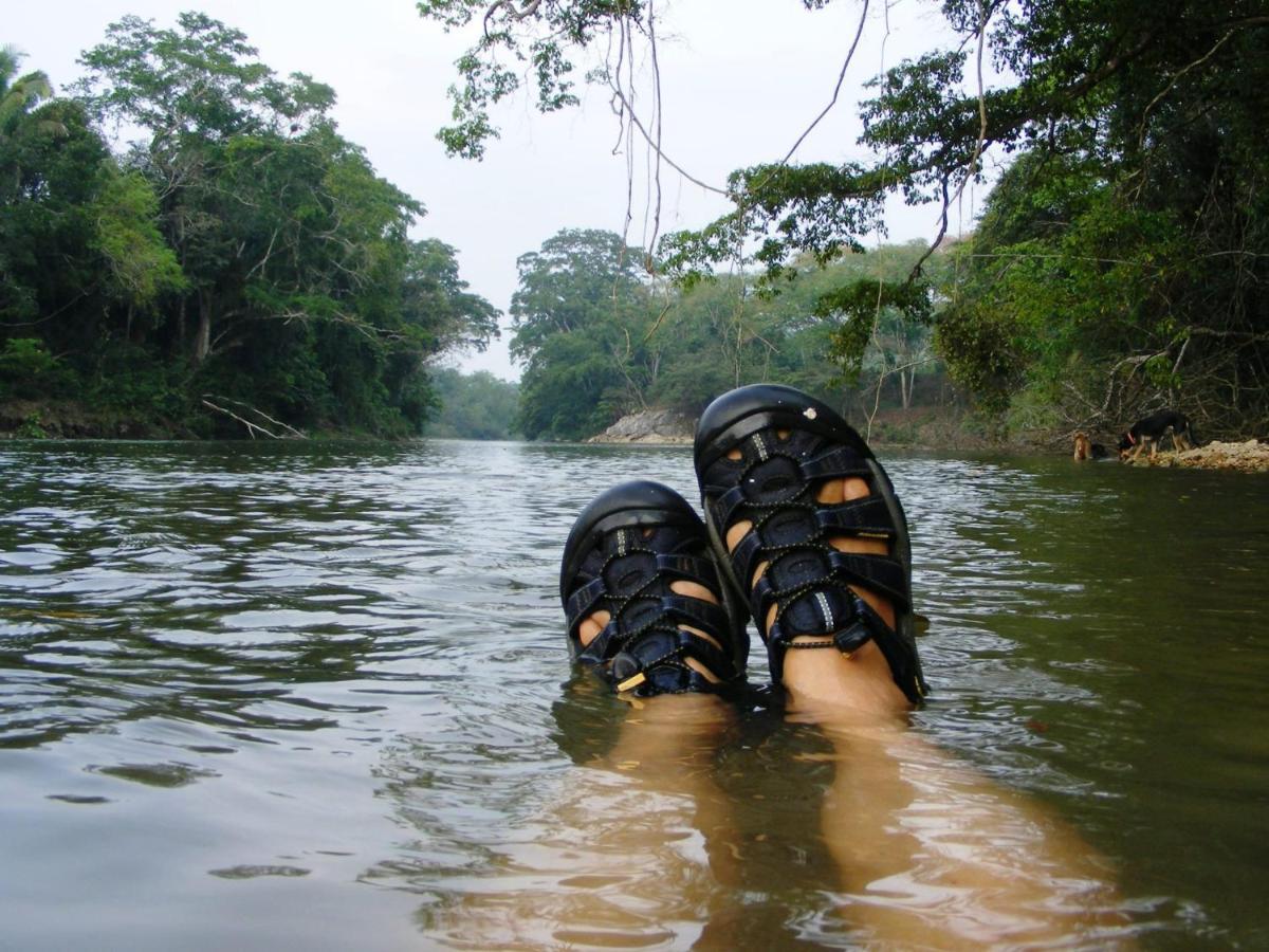 Lower Dover Jungle Lodge & Maya Ruins Unitedville Dış mekan fotoğraf