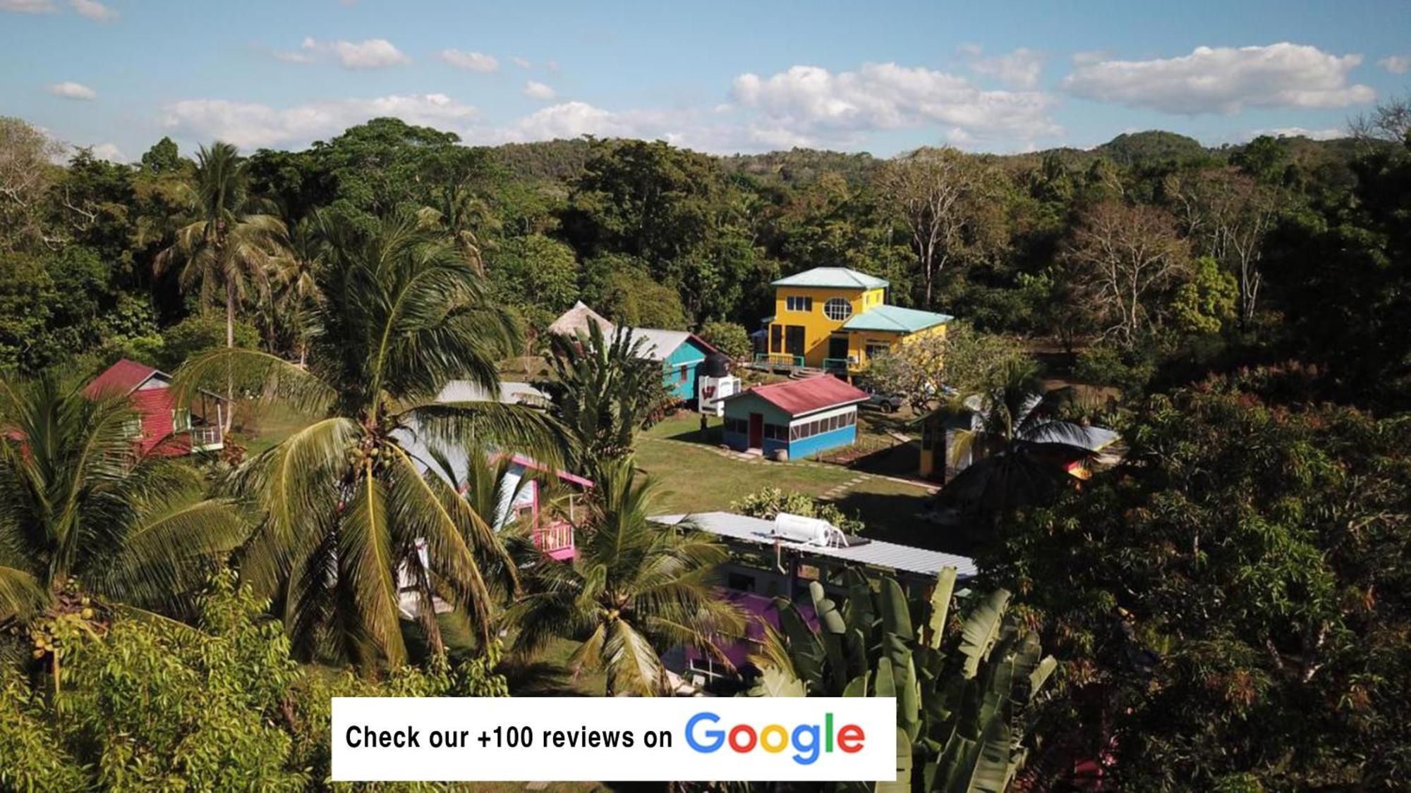 Lower Dover Jungle Lodge & Maya Ruins Unitedville Dış mekan fotoğraf