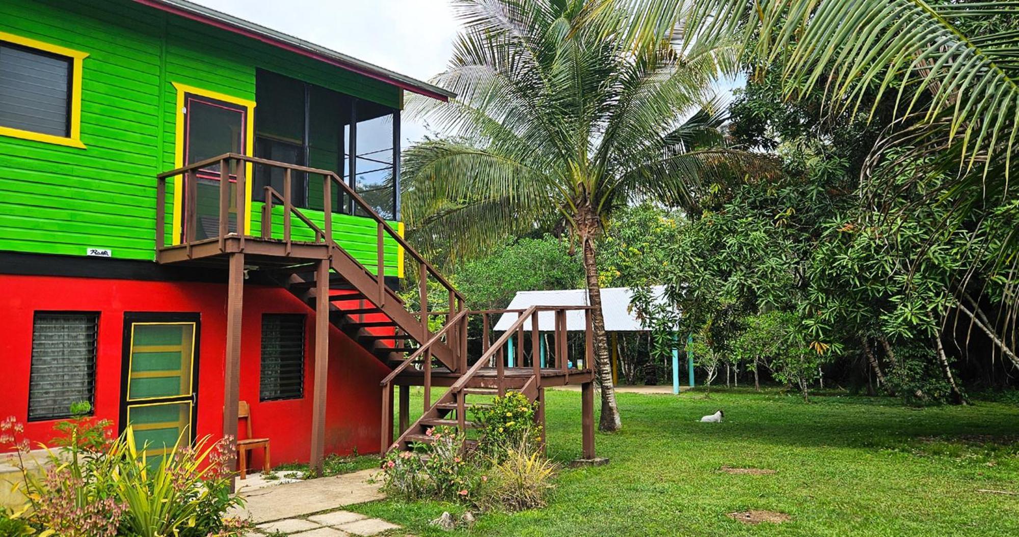 Lower Dover Jungle Lodge & Maya Ruins Unitedville Oda fotoğraf