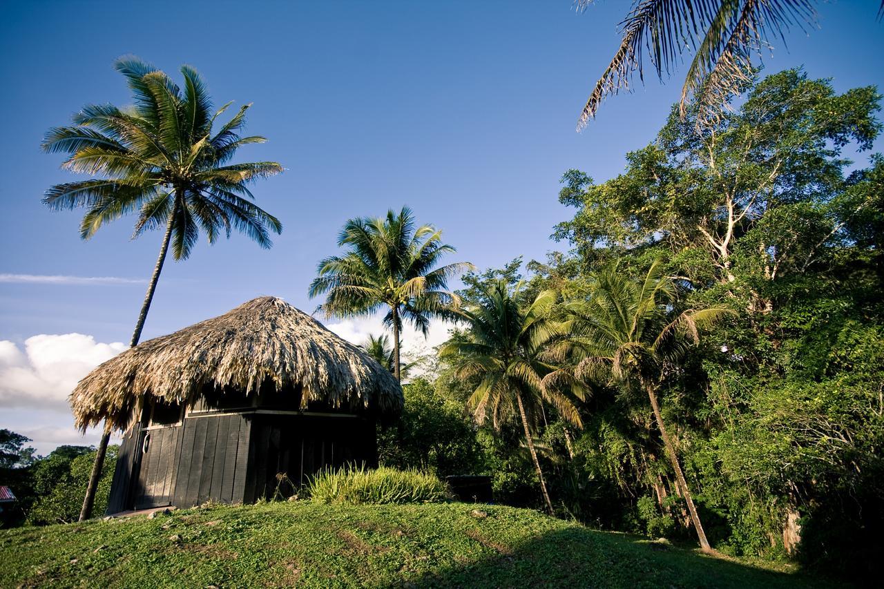 Lower Dover Jungle Lodge & Maya Ruins Unitedville Dış mekan fotoğraf