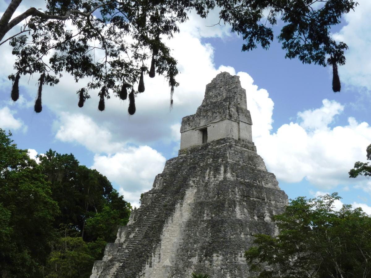 Lower Dover Jungle Lodge & Maya Ruins Unitedville Dış mekan fotoğraf